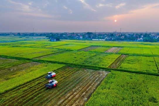 Hai Phong tops 2024 PCI rankings following strong business environment reform efforts