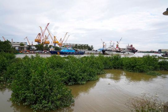Hải Phòng: Đánh giá, tổng kết hơn 13 năm thực hiện Nghị quyết số 24-NQ/TW về ứng phó với biến đổi khí hậu và bảo vệ môi trường