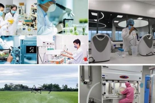 Hành trình khơi thông nguồn lực KH&CN phục vụ phát triển thành phố Cảng: Phân tích và đánh giá giai đoạn 2021-2025