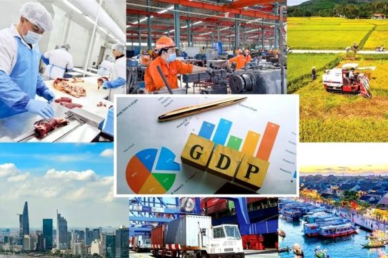 The Government Issues an Action Plan to Implement the 14th National Party Congress Resolution