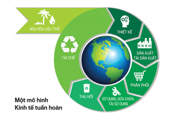 Hai Phong Approaches Circular Economy Model from Japan: A New Vision for Waste Resource Management