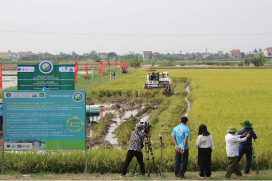 Hải Phòng, Ninh Bình, Hưng Yên: Thúc đẩy sản xuất lúa bền vững, phát thải thấp vùng Đồng bằng sông Hồng