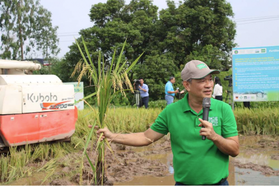 Hai Phong, Ninh Binh, Hung Yen: Promoting Sustainable, Low-Emission Rice Production in the Red River Delta