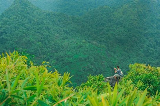 Vườn Quốc gia Cát Bà – Hành trình khám phá “viên ngọc quý” giữa lòng di sản thế giới