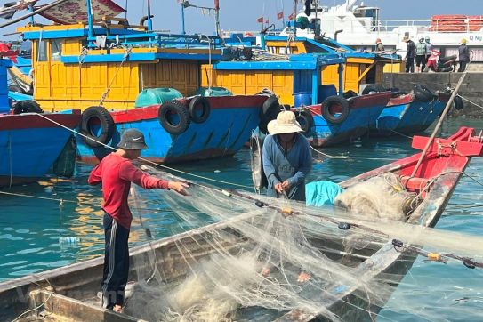 Hai Phong and the whole country enter peak period determined to remove the IUU “Yellow card”