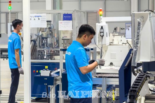 Hỗ trợ doanh nghiệp tận dụng các FTA để phát triển và hội nhập