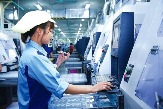 Tự chủ nguồn cung nguyên liệu để tận dụng ưu đãi từ CPTPP