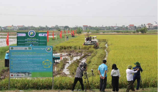 Hải Phòng, Ninh Bình, Hưng Yên: Thúc đẩy sản xuất lúa bền vững, phát thải thấp vùng Đồng bằng sông Hồng