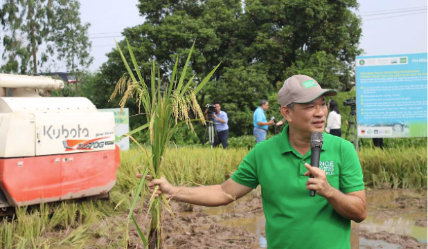 Hai Phong, Ninh Binh, Hung Yen: Promoting Sustainable, Low-Emission Rice Production in the Red River Delta