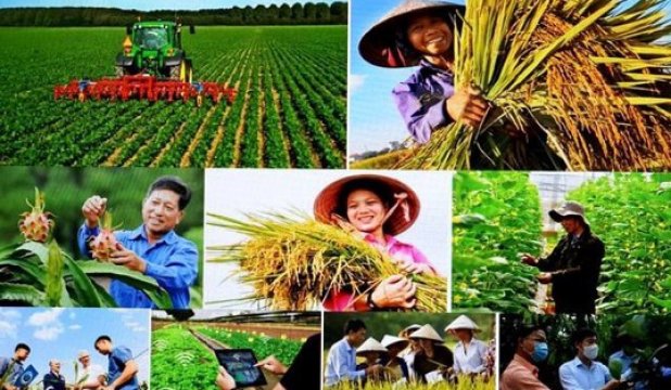 Hải Phòng thông qua chủ trương kiện toàn Quỹ Hỗ trợ nông dân: Thống nhất nguồn lực, tạo đà cho kinh tế nông nghiệp phát triển bền vững